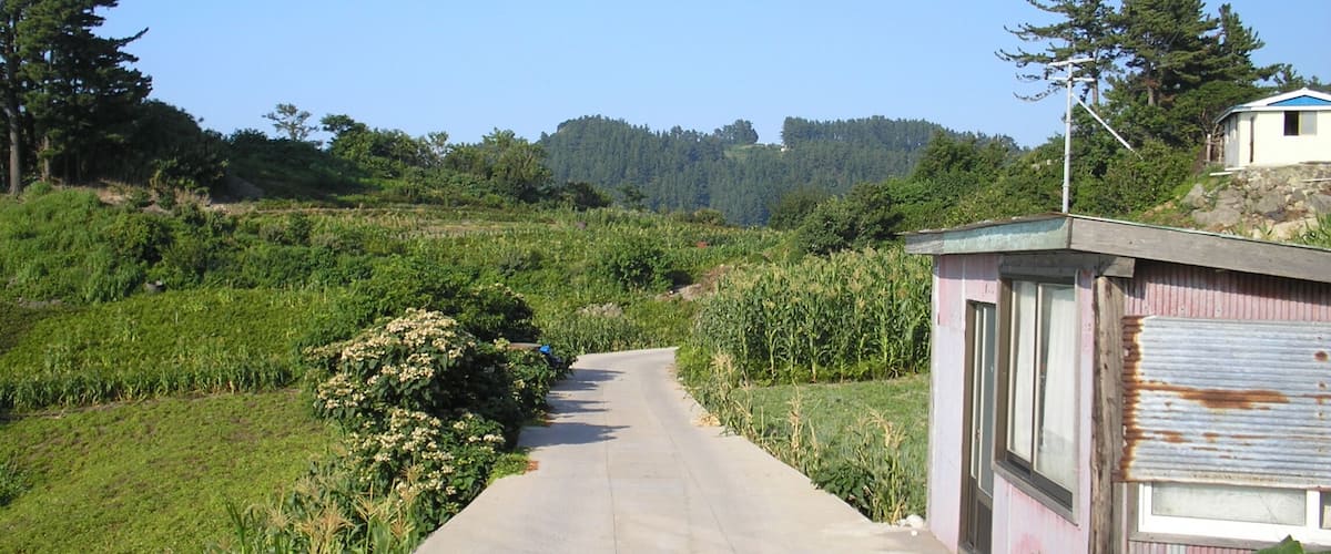 A rural road flanked by fields and a small building with a corrugated metal roof.