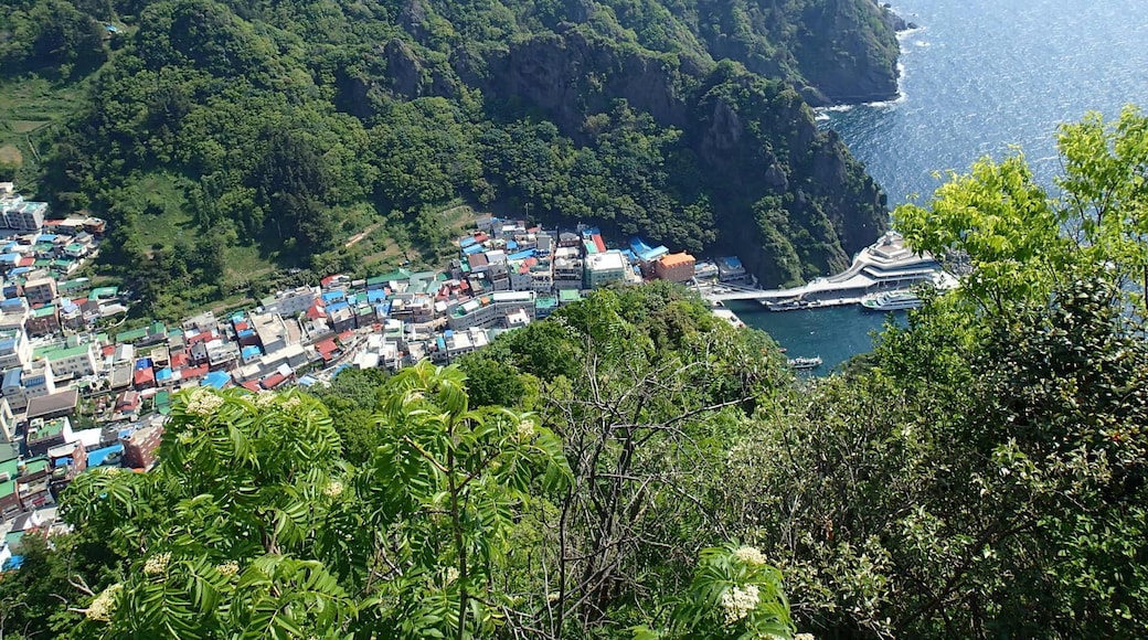Dodong, Ulleungdo Island