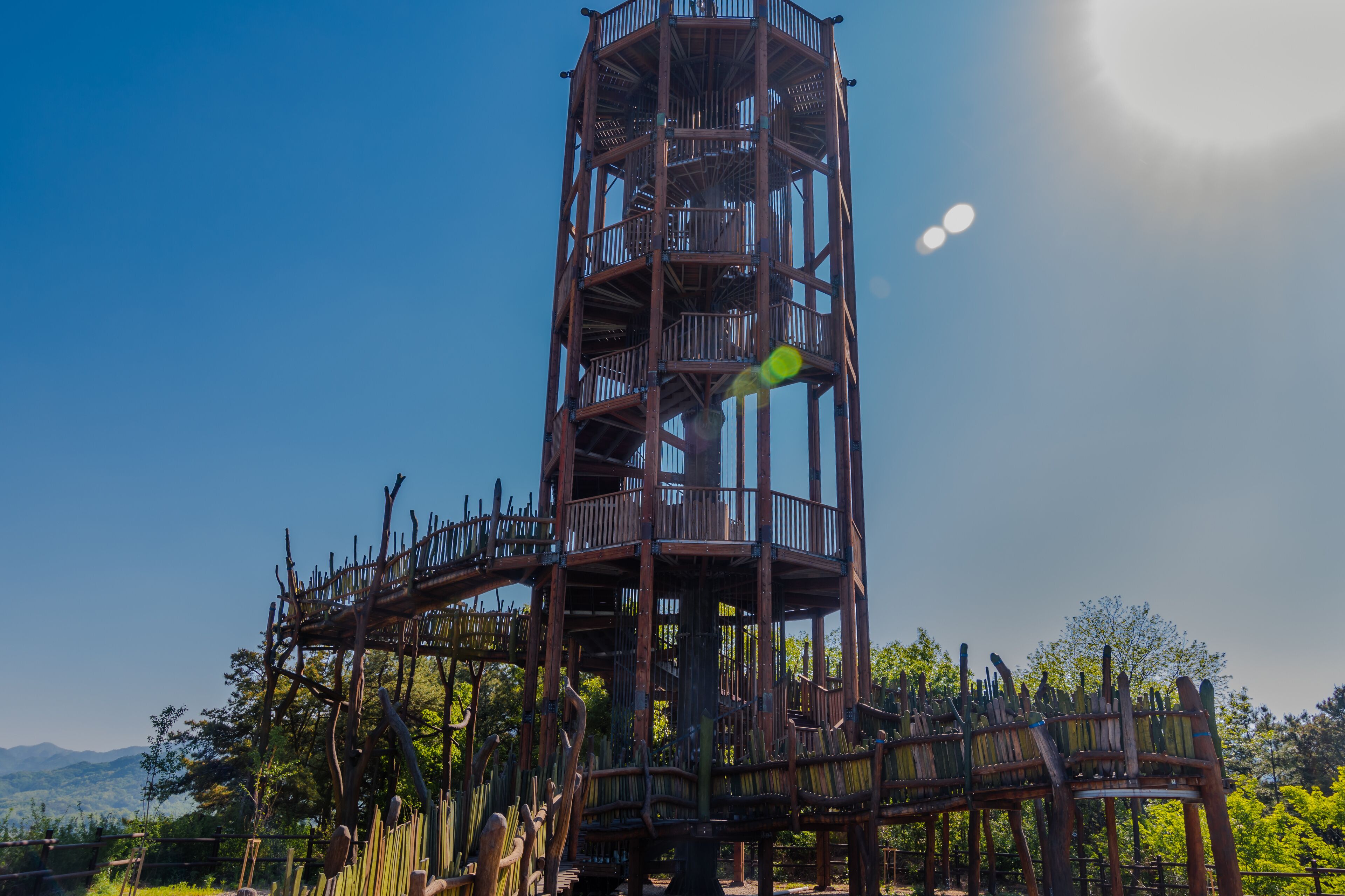 Wooden observation tower