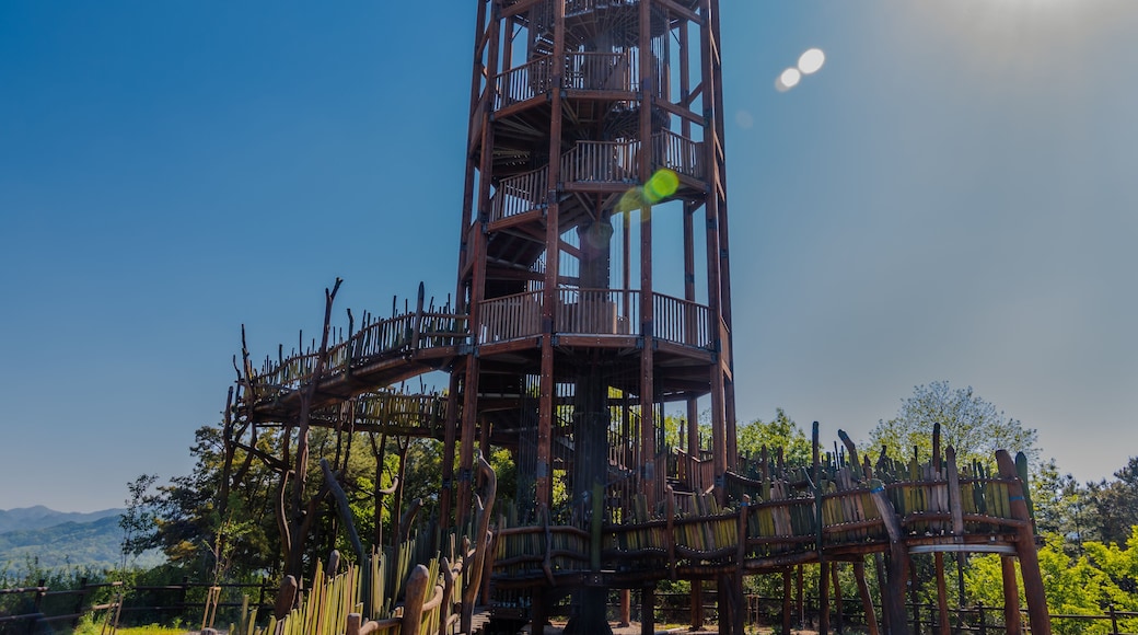 Wooden observation tower