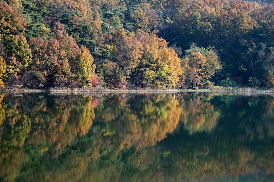 Reflection of autumn forest on the lake