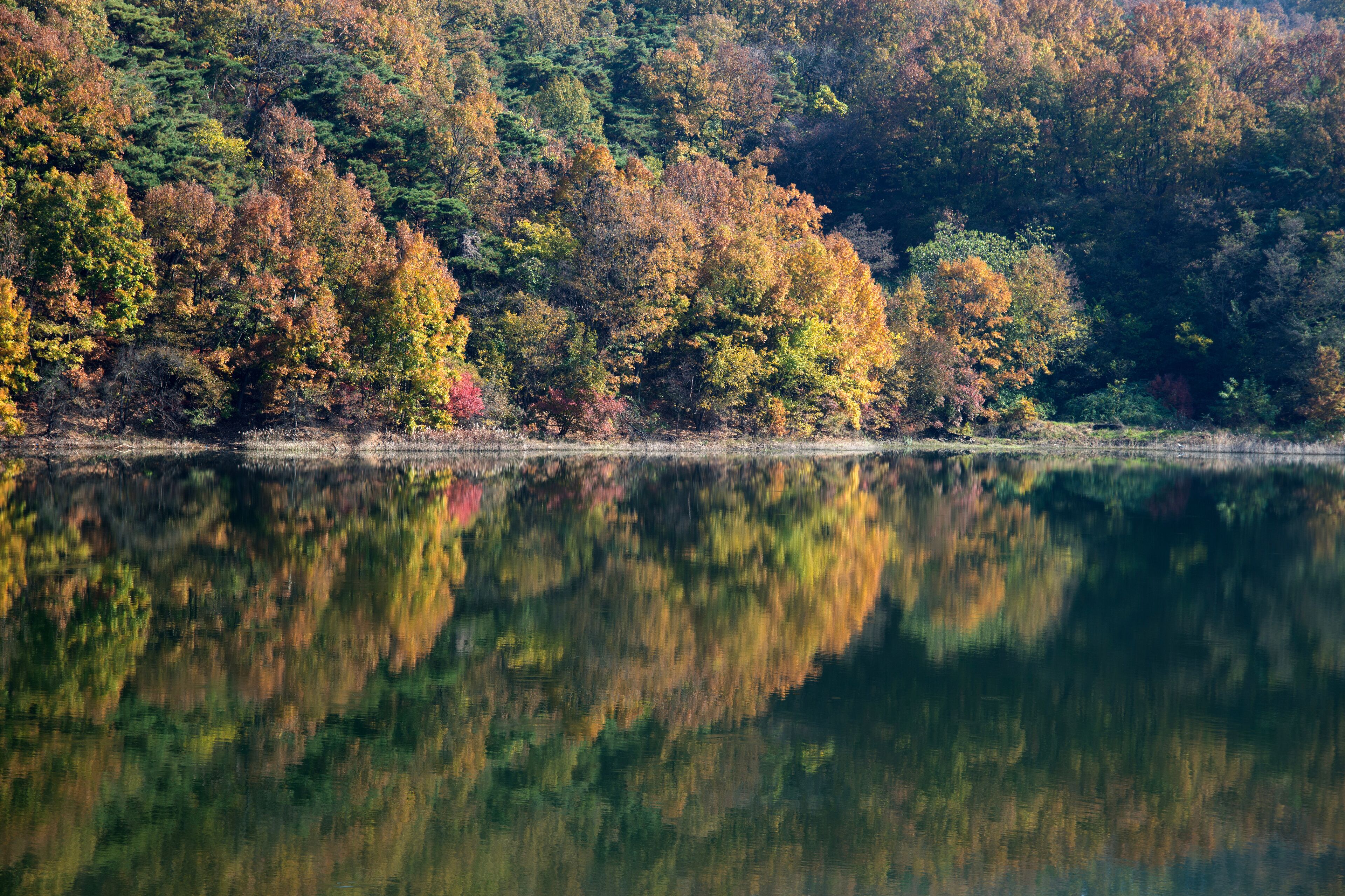 A calm lake reflecting autumn foliage, surrounded by dense forest.
