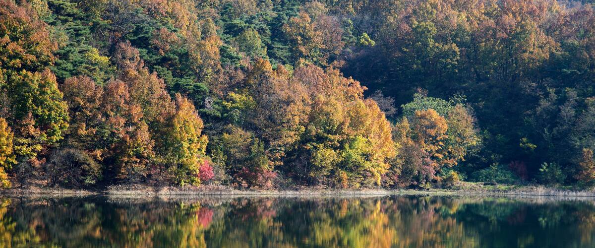 A calm lake reflecting autumn foliage, surrounded by dense forest.