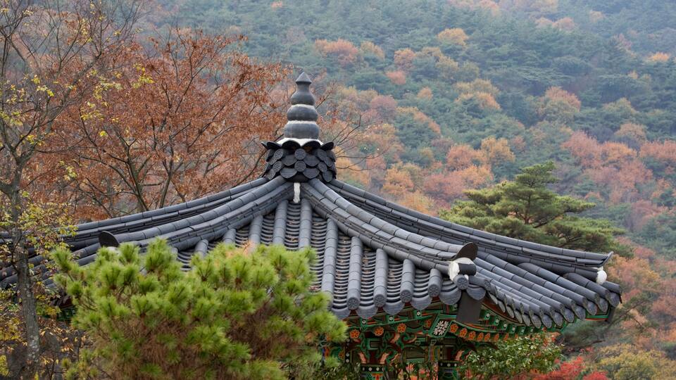 A traditional Korean pavilion with ornate roof tiles and colorful decorations, surrounded by autumn foliage.