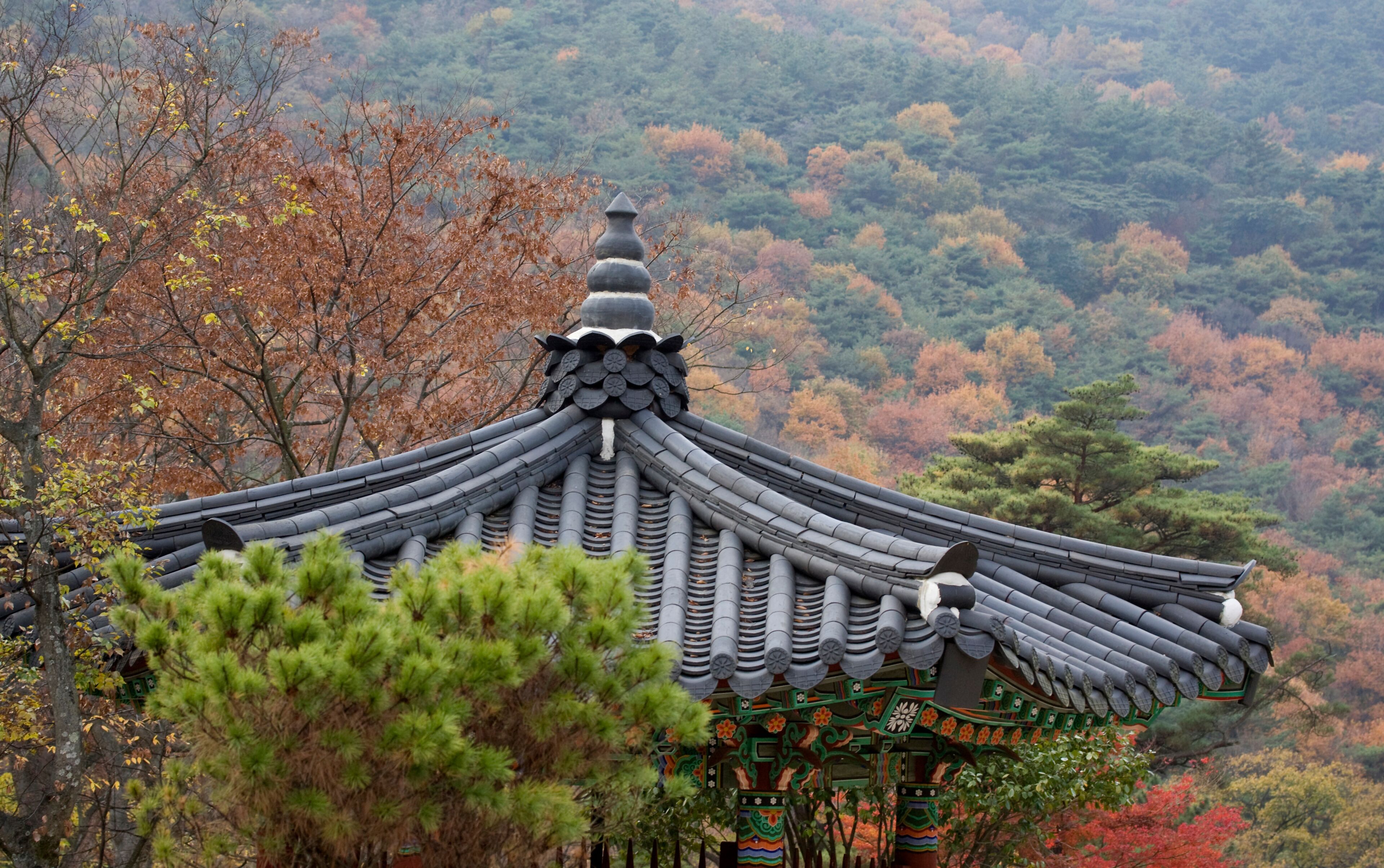 A traditional Korean pavilion with ornate roof tiles and colorful decorations, surrounded by autumn foliage.