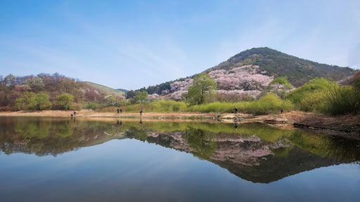 Calm Landscape of Yongbiji Lake, Seosan, South Korea
