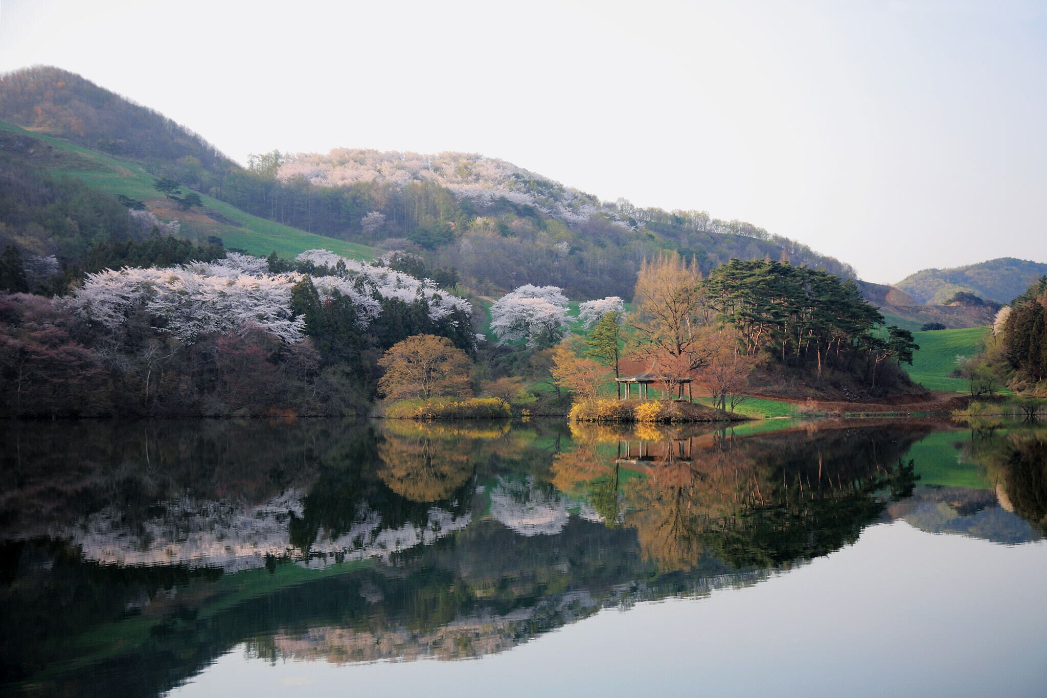 500px provided description: Spring []