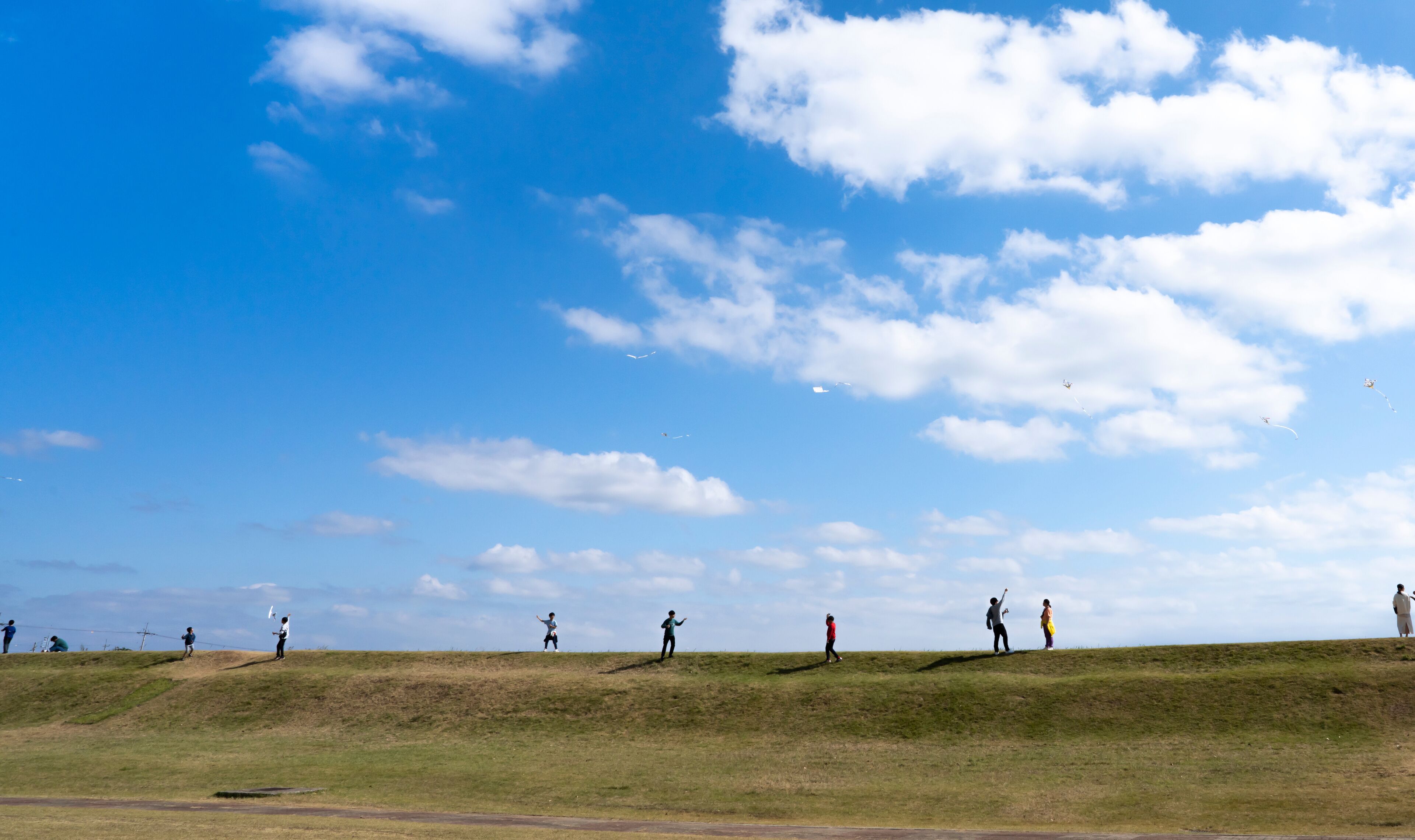 언덕에 올라 파란 가을 하늘을 향하여 연 날리기를 즐기는 사람들