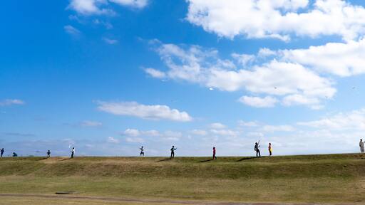 언덕에 올라 파란 가을 하늘을 향하여 연 날리기를 즐기는 사람들