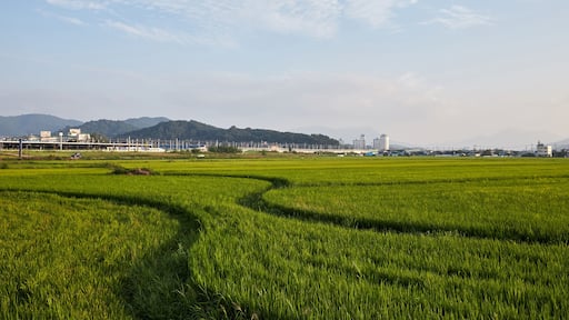 Jeongeup Station in Jeongeup-si, South Korea.
