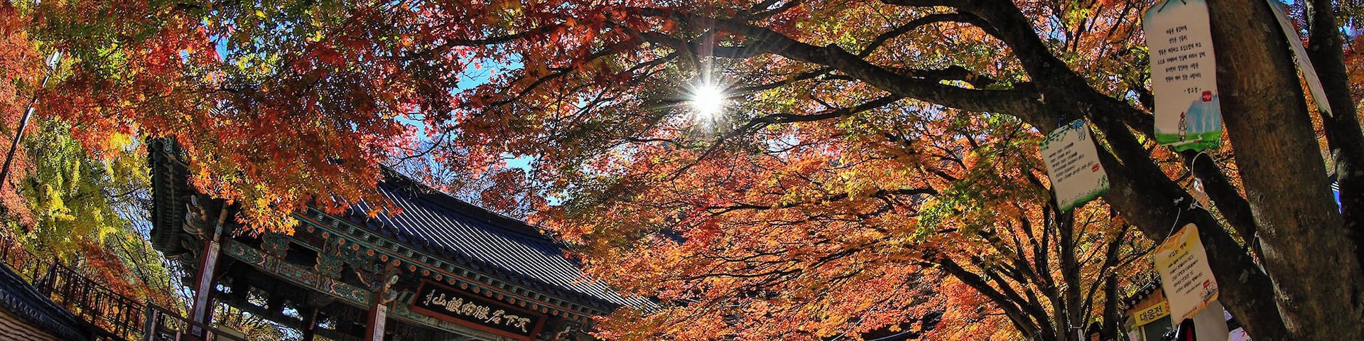 This photo was shot at the famous place for viewing autumn leaves in South Korea.