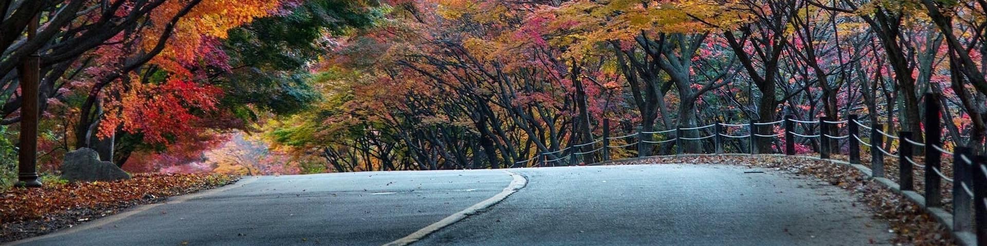 The road side full with colourful autumn leaves