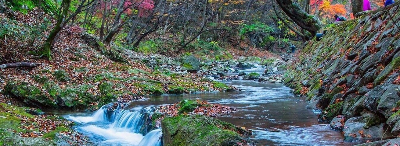 This running water with autumn leaves is encountered within the park of Naejandshan