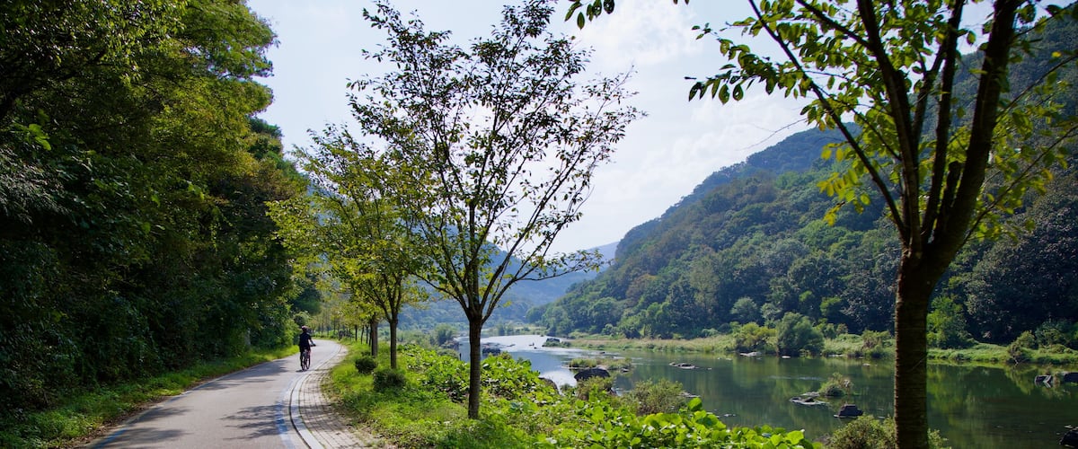 Cyclist on the Seomjingang Bike Path