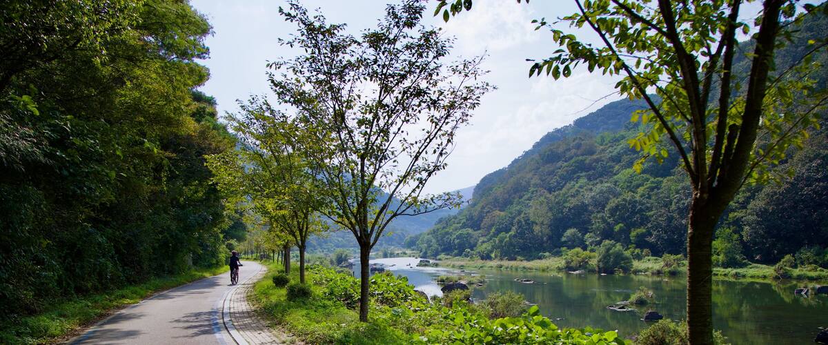 A paved path alongside a river, surrounded by lush greenery and trees.