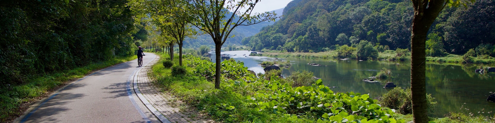 A paved path alongside a river, surrounded by lush greenery and trees.