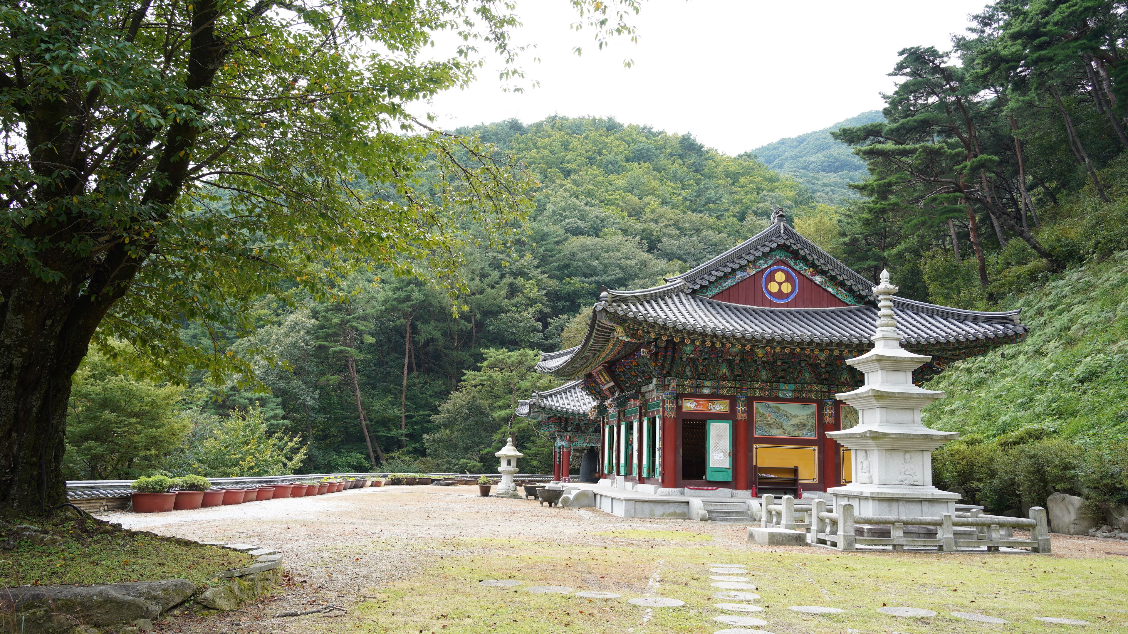 A traditional Korean temple with ornate architecture, surrounded by lush greenery and a mountainous backdrop.