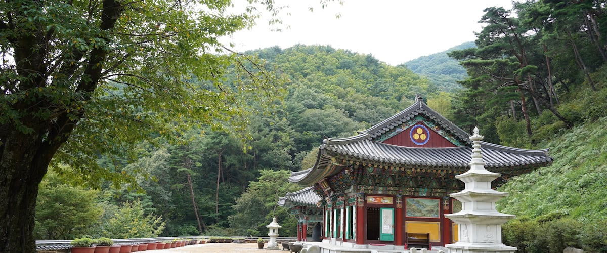 A traditional Korean temple with ornate architecture, surrounded by lush greenery and a mountainous backdrop.