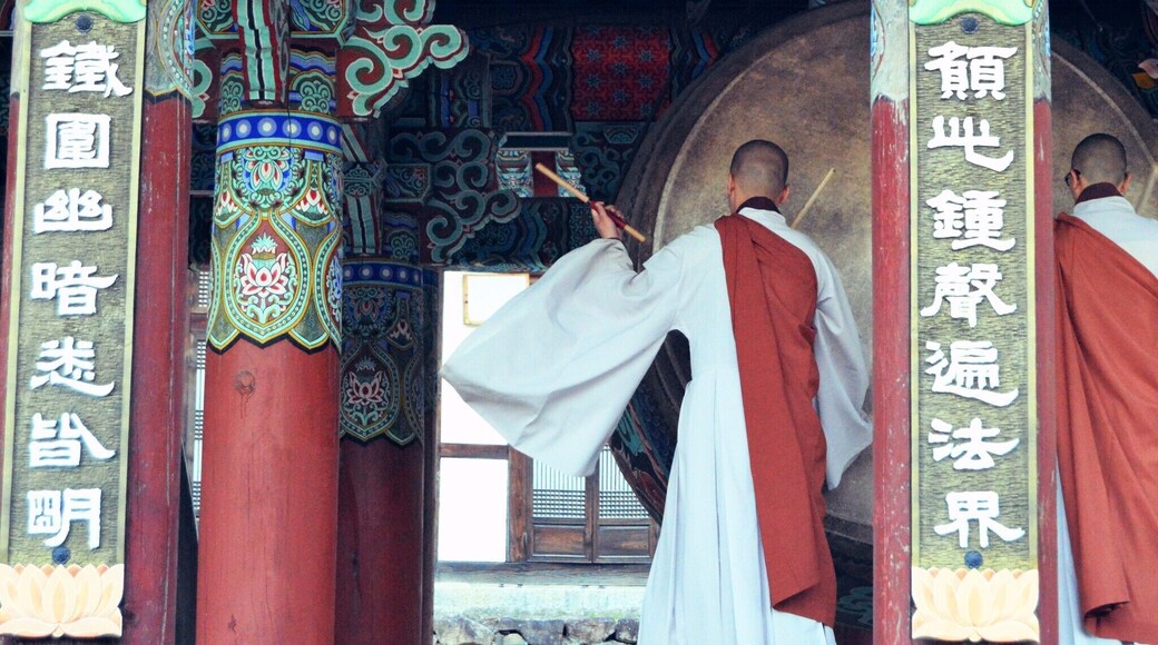 You can spend the night living with the monks at the historical Haeinsa temple. This is where the Tripitaka Koreana is stored- the oldest in-tact Buddhist canon.
This was a drum ceremony that the monks let us observe at sunset.
#Culture