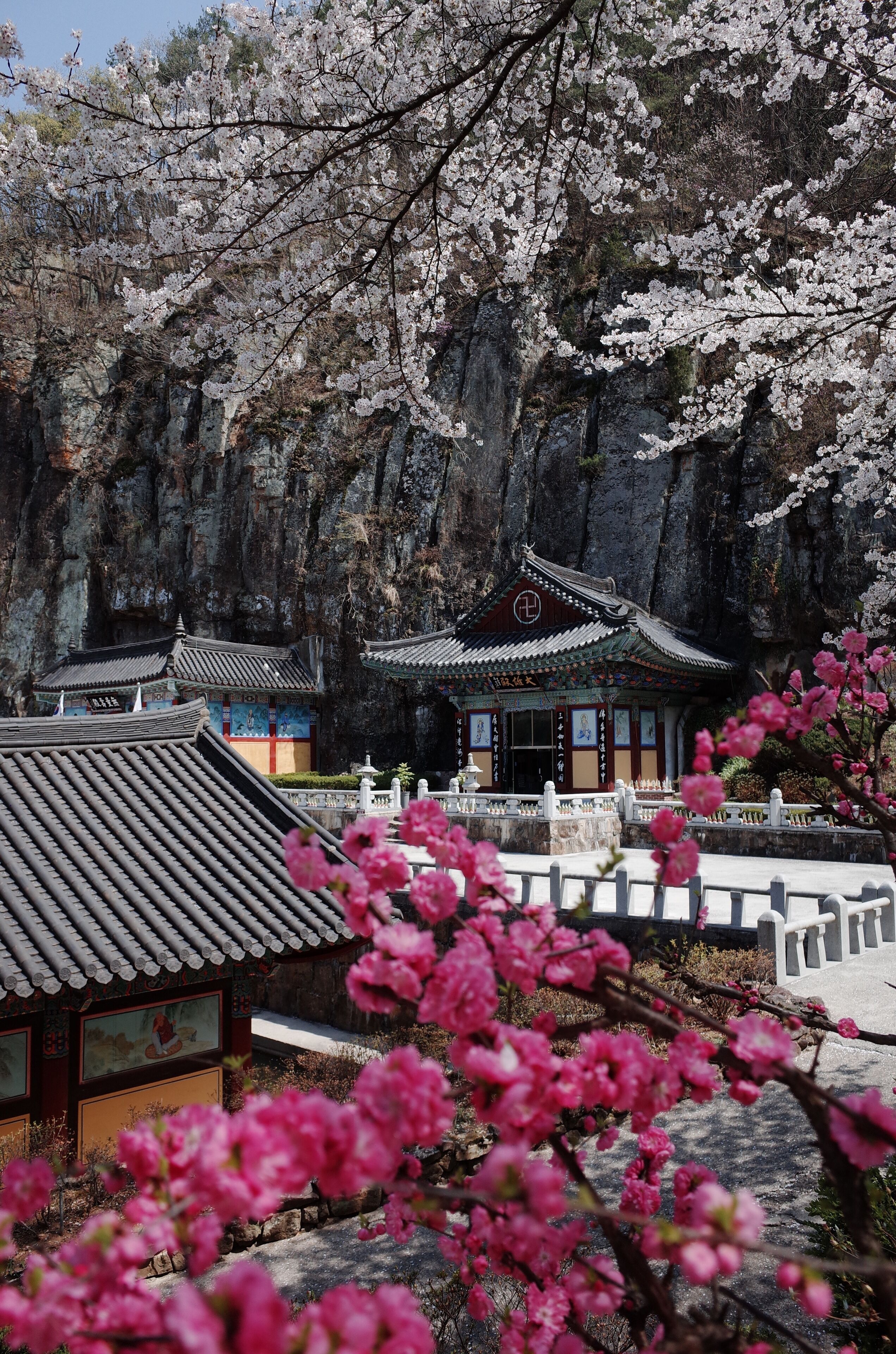 A traditional temple with a rock backdrop, surrounded by blooming cherry blossoms.