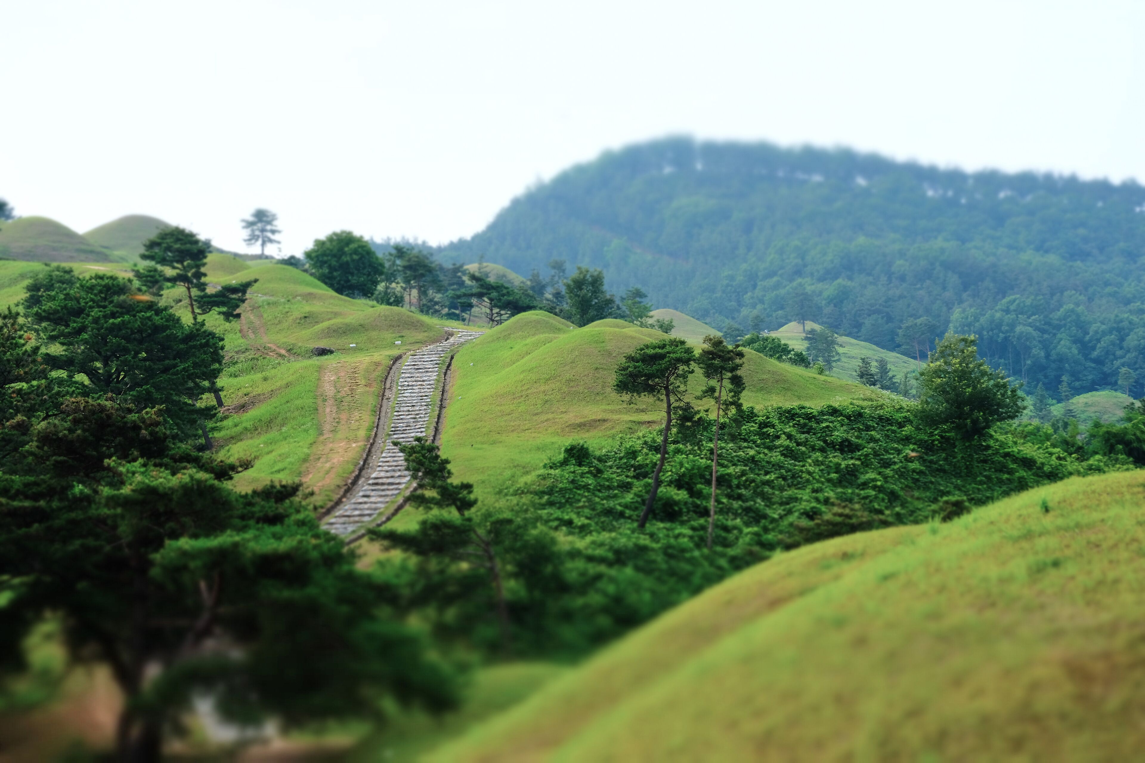 A railway track winding through rolling green hills with dense forests.