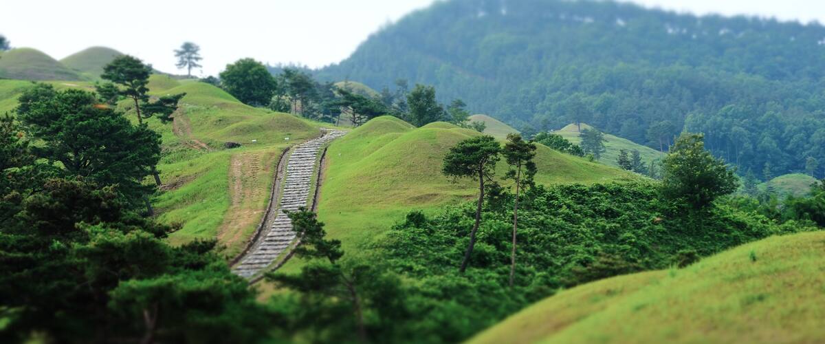 A railway track winding through rolling green hills with dense forests.