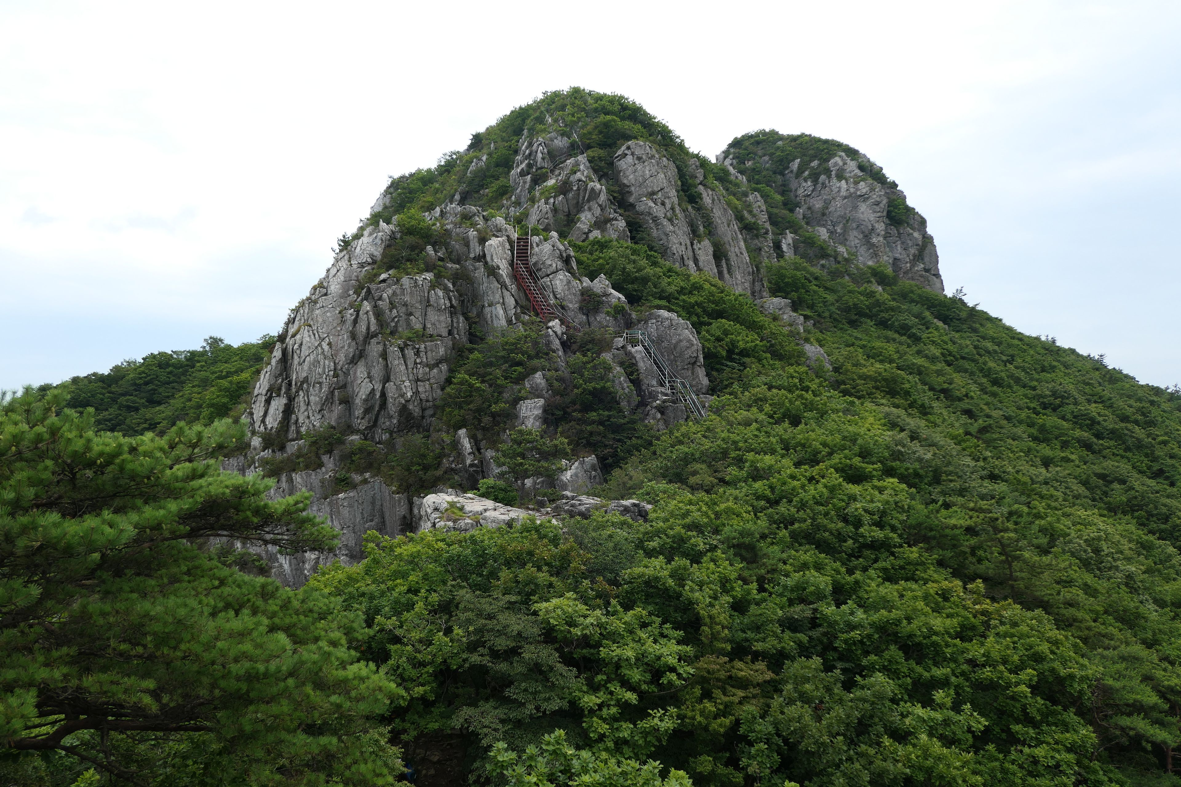 Une montagne escarpée, avec une paroi rocheuse abrupte et une forêt dense à ses pieds.