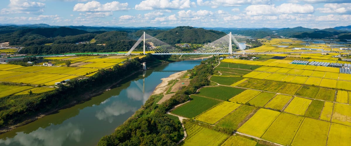 A suspension bridge over a river, surrounded by green fields and mountains.