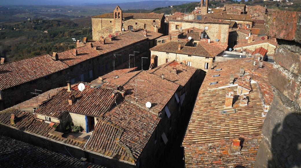 Cute little hill town, head up the Rocca (check for opening hours) for a great view of the town and surrounding hills. This town is known for pottery and the best potter is located at the entrance of the town, look for a such that says Fattorini on the left side (coming from Orvieto) as you head into town. http://www.acooknotmad.com/2015/01/olio-di-vino.html #ficulle #umbria #italy #europe #roadtrip