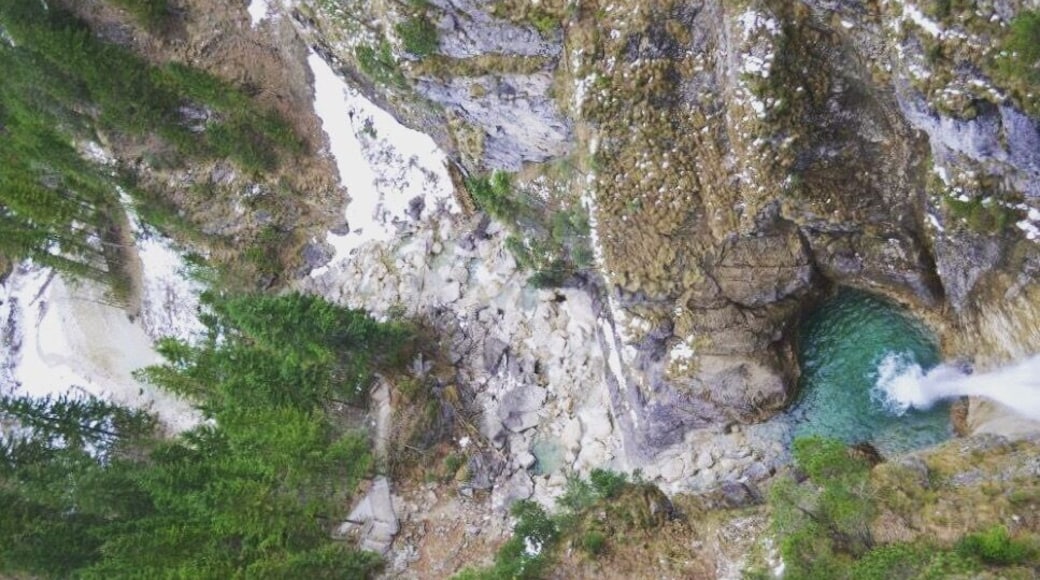 Nature's color palette.
Took this at the bridge lookout at Neuschwenstein, lookin' down.
