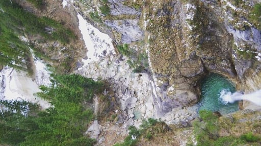 Nature's color palette.
Took this at the bridge lookout at Neuschwenstein, lookin' down.