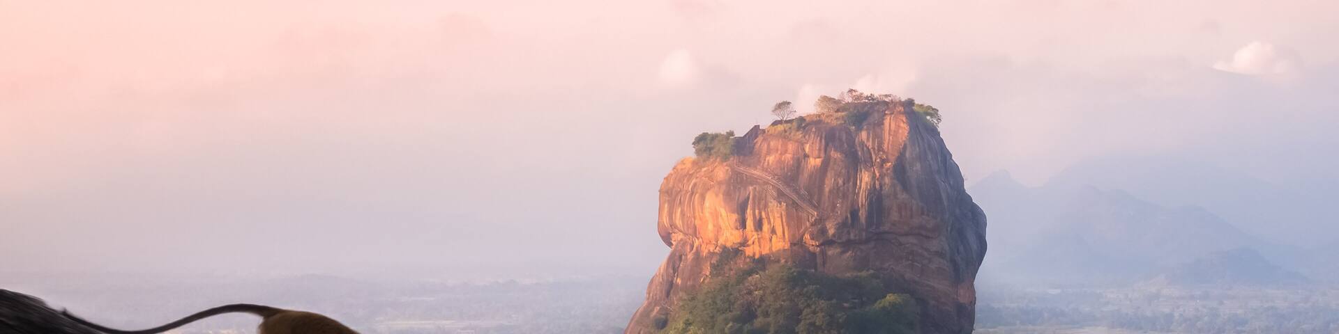 A monkey on a cliff overlooking a forested mountain range.