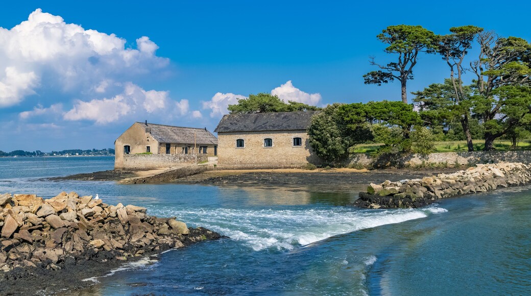 Berder island, in Brittany, in the Morbihan gulf
