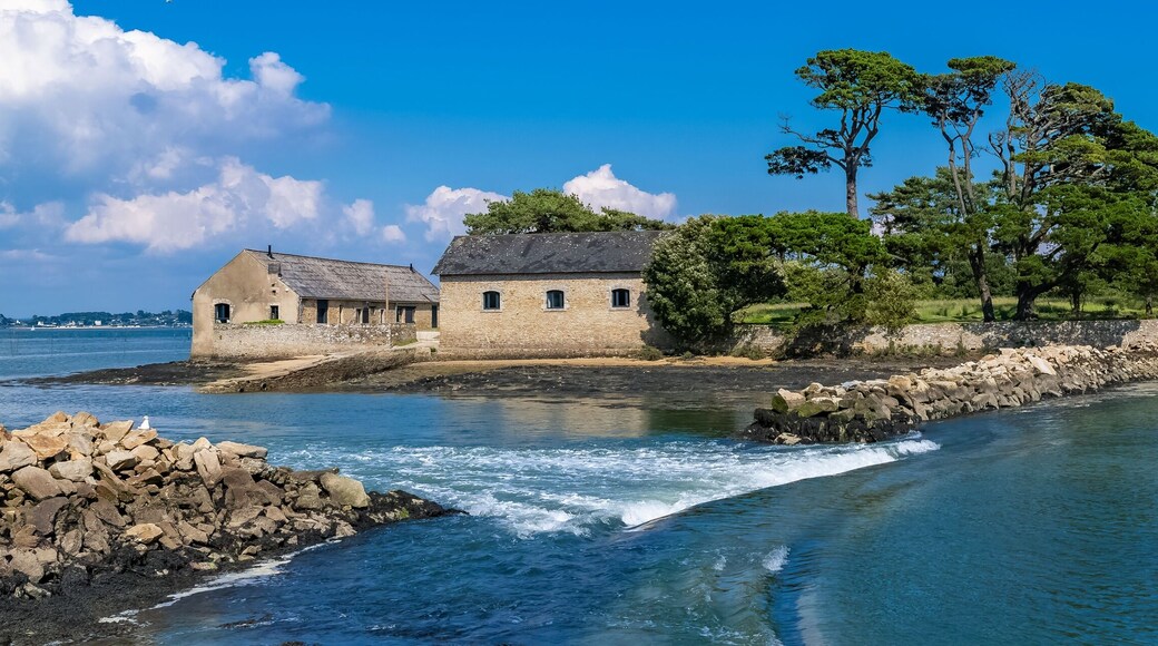 Berder island, in Brittany, in the Morbihan gulf
