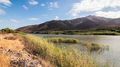Farm outside Robertson
