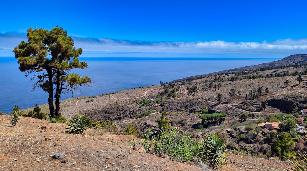 Typical landscape seen from the viewpoint at Museo de Interpretación del Gofio MIGO, Puntagorda, La Palma island, Spain