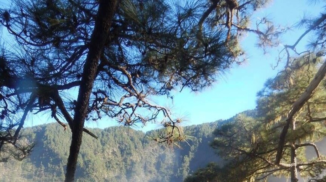One of the most amazing Walks on la Palma #AboveItAll