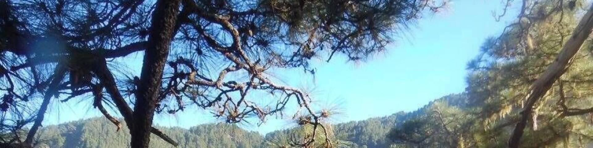 One of the most amazing Walks on la Palma #AboveItAll