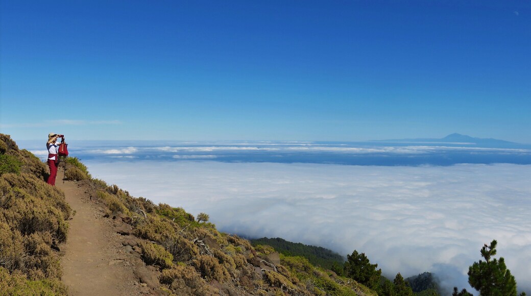 am pico de la Nieve - ca. 2200 m Höhe - der Himmel ist wirklich so blau !!!!!!!!!!