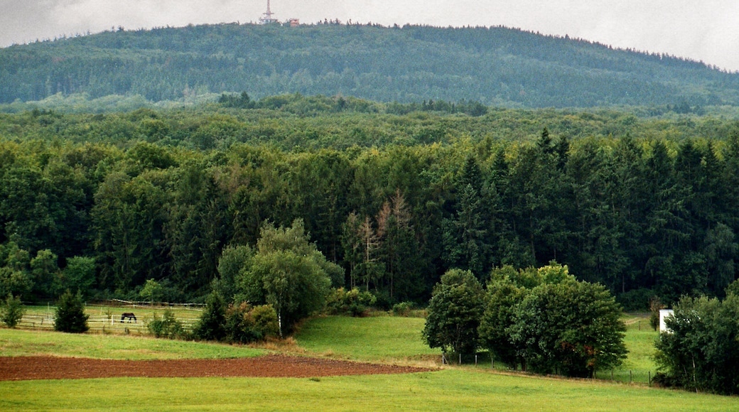 Ober-Mörlen, view from the service area "Wetterau" to the Winterstein