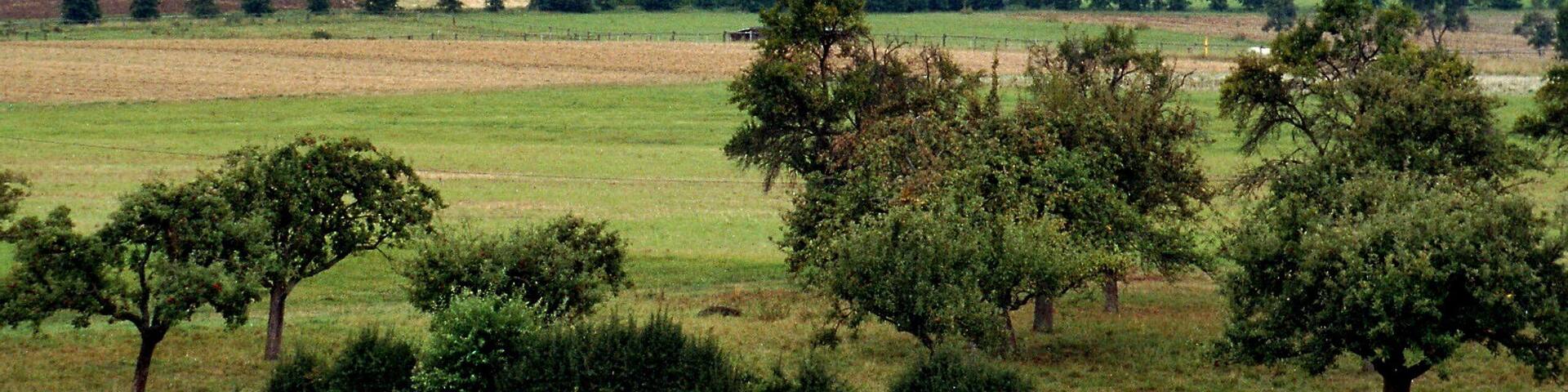 Ober-Mörlen, view from the service area "Wetterau" to the village