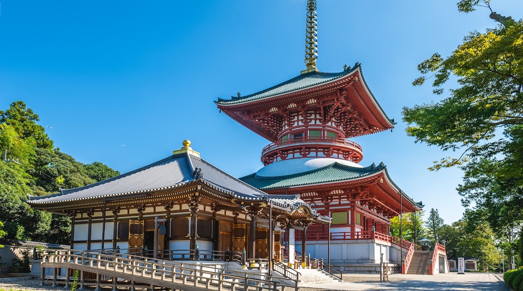 Naritasan Shinshoji, a Shingon Buddhist temple located in Narita, Chiba, Japan