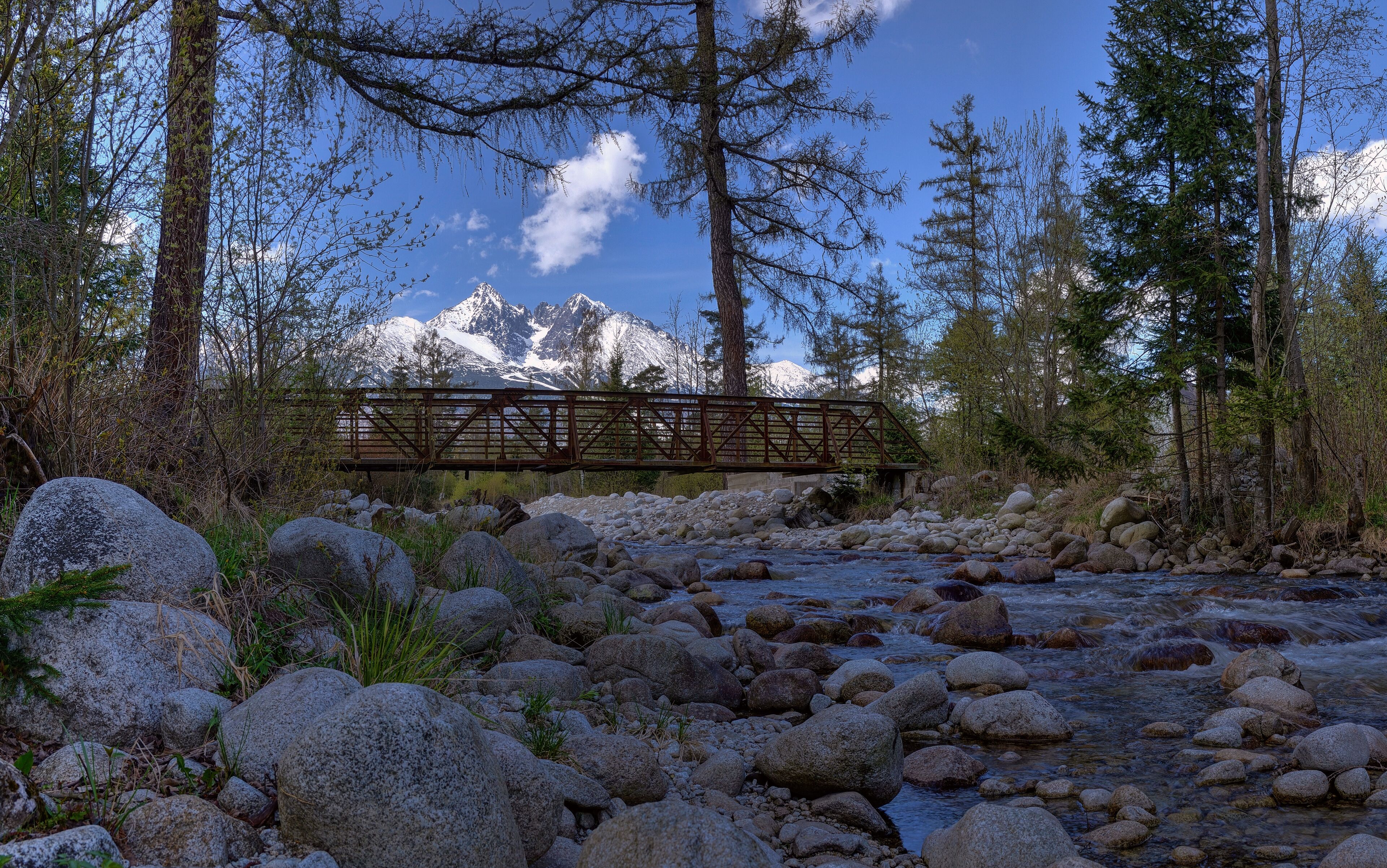 Cold creek with old bridge in Stara Lesna village with High tatras on the backgroud / Slovakia
