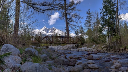 Cold creek with old bridge in Stara Lesna village with High tatras on the backgroud / Slovakia