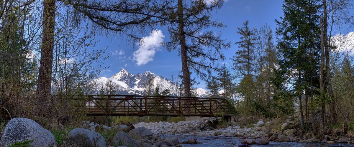 A wooden bridge over a rocky stream with snow-capped mountains in the background.