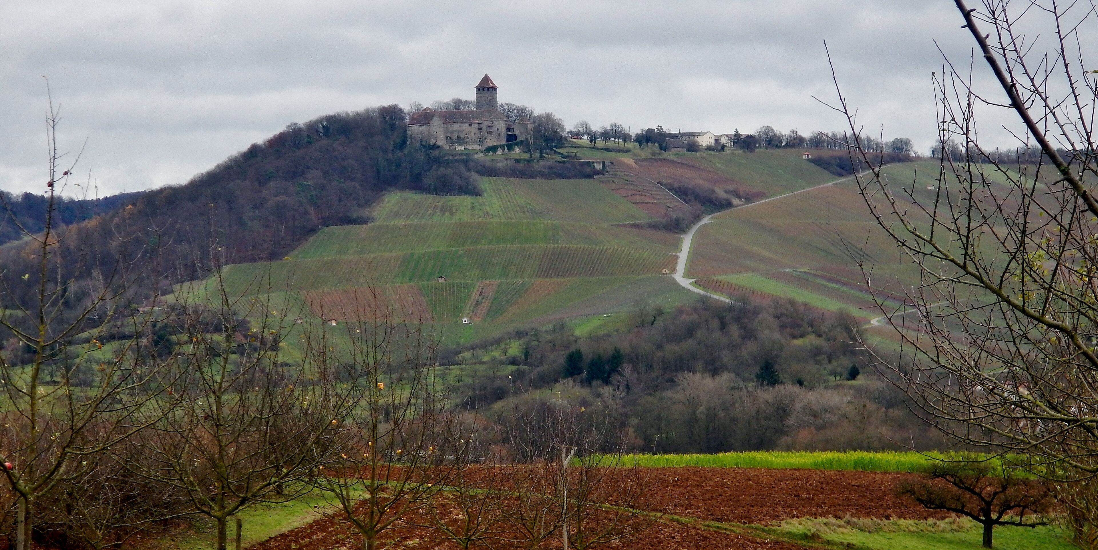 Ausblick über das Bottwartal bis zur Burg Lichtenberg (1197)