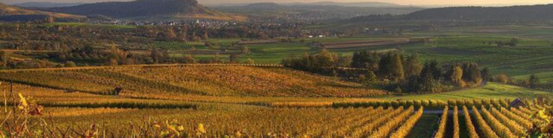 Heilbronner Feld bei Winzerhausen