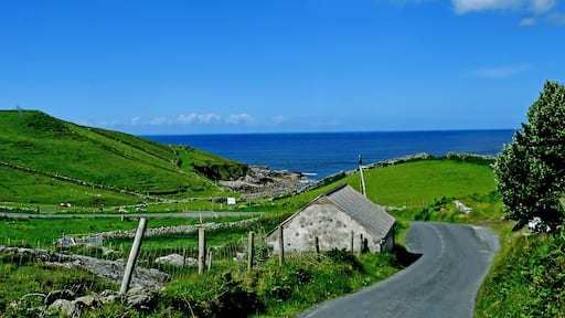 Photo opportunity in Co Sligo. #Nature