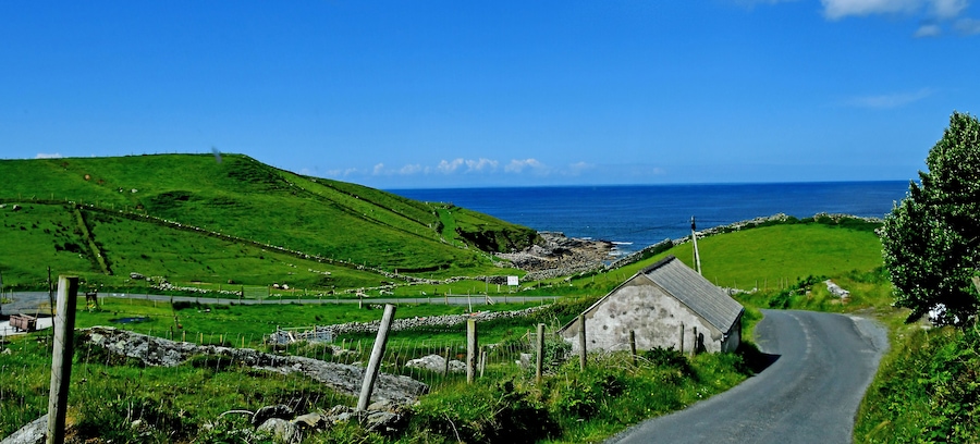 Photo opportunity in Co Sligo. #Nature