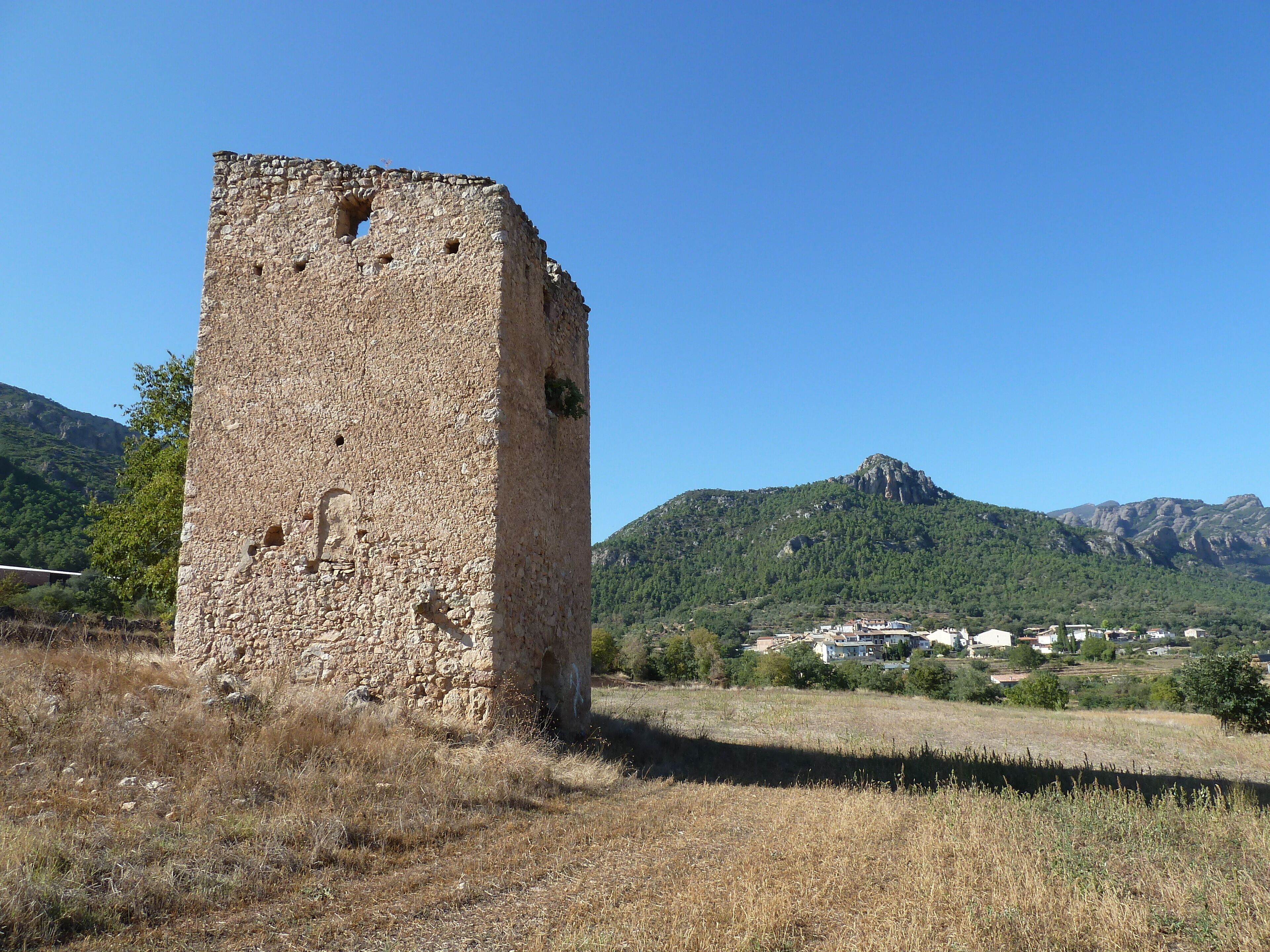This is a photo of a monument indexed in the Catalan heritage register of Béns Culturals d'Interès Nacional and the Spanish heritage register of Bienes de Interés Cultural under the reference RI-51-0006427.